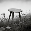 Three Legged Stool on Hillside